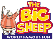 Campsite Devon - Big Sheep