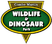 Campsite Devon - Dinosaur Park